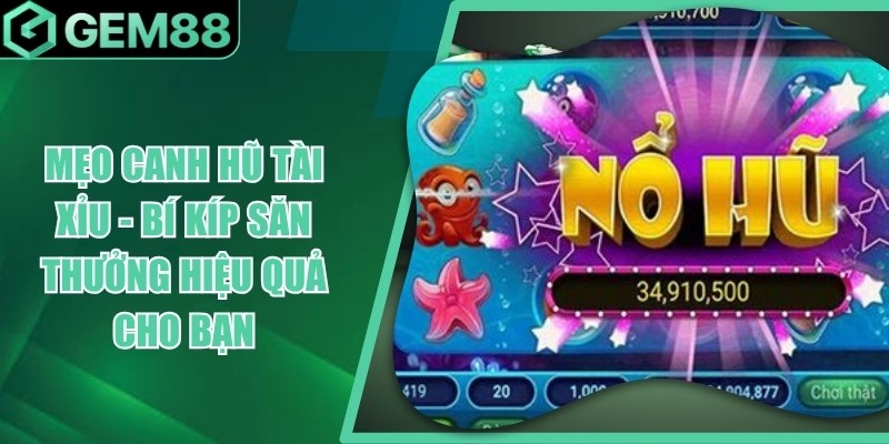 meo canh hu tai